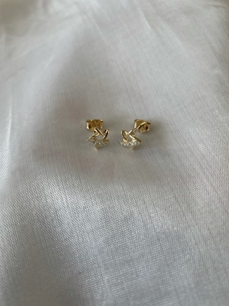 14 Kuyumculuk Çivili Detaylı Yıldız Küpe